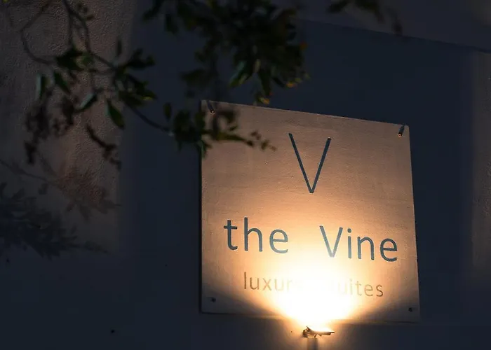 アパート The Vine Vourvoúlos